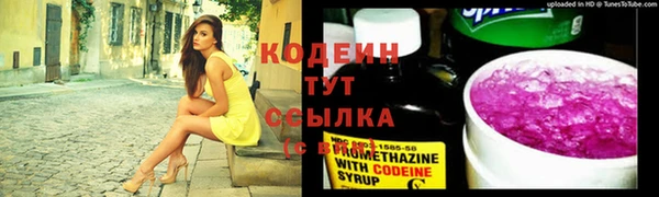 дурь Карпинск