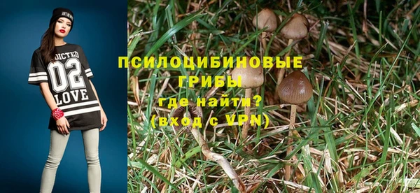 прущая мука Касимов